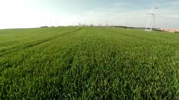 Subestación urbana. Líneas eléctricas y campo agrícola. Puesta de sol — Vídeos de Stock