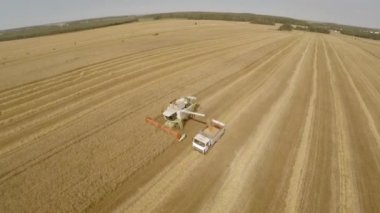 Hasat bitkileri hasat ve tahıl bir kamyon dökülen. Teknoloji alanlarındaki çalışmalarını