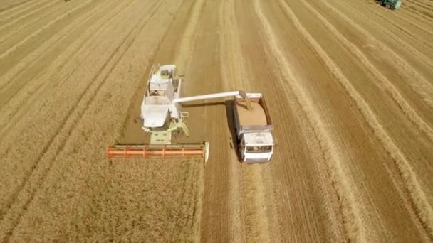 Сельскохозяйственные машины в полях. Работа с технологиями в областях — стоковое видео