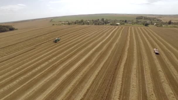 Cosechadora cosecha cosechas y vierte grano en un camión. El trabajo de la tecnología en los campos — Vídeo de stock