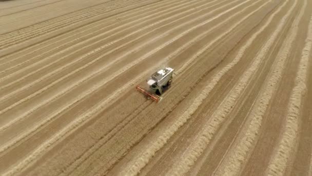 Cosechadora cosecha cosechas y vierte grano en un camión. El trabajo de la tecnología en los campos — Vídeos de Stock