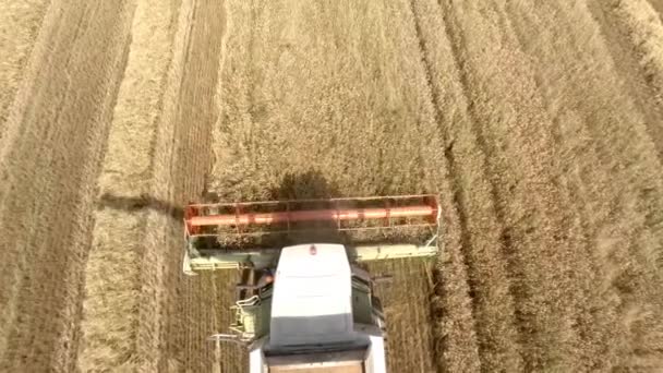 Máquinas agrícolas en los campos. El trabajo de la tecnología en los campos — Vídeos de Stock