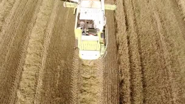 Landmaschinen auf den Feldern. die Arbeit der Technologie in den Bereichen — Stockvideo
