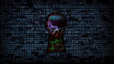 Internet scammers ağdan korunması