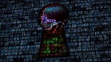 Internet scammers ağdan korunması