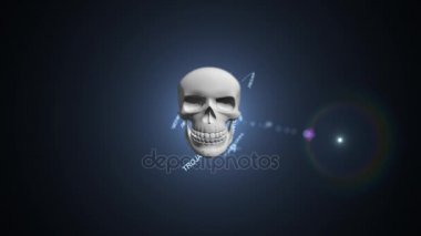 Bilgisayar virüs trojan. Sunucuları ve veritabanı bulaşmasını