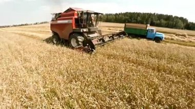 Hasat bitkileri hasat ve tahıl bir kamyon dökülen. Teknoloji alanlarındaki çalışmalarını