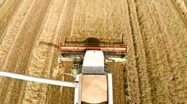 Hasat bitkileri hasat ve tahıl bir kamyon dökülen. Teknoloji alanlarındaki çalışmalarını