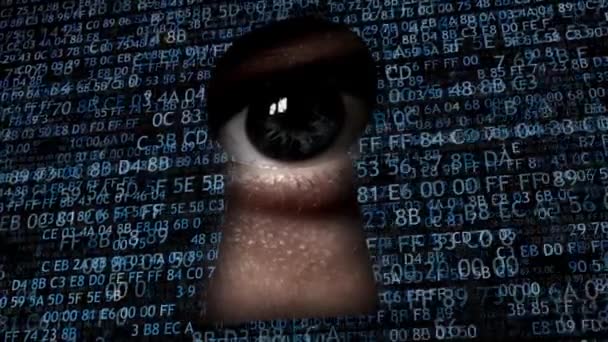 Hackear dados. Espionagem na Internet, coleta de informações — Vídeo de Stock