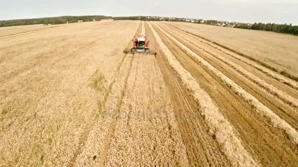 Maszyny rolnicze w polach. Pracy, technologii w dziedzinach — Wideo stockowe