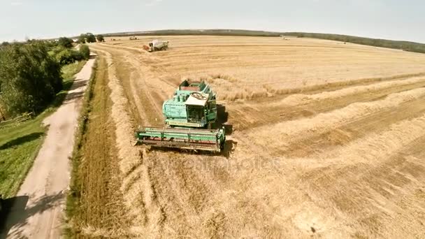 Kombajn sklizně plodin a obilí nalévá do kamionu. Práce technika v polích — Stock video