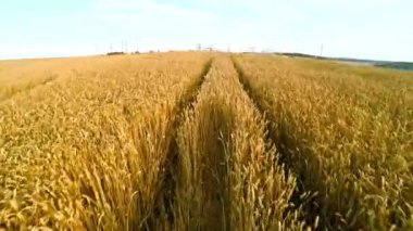 Güç geçtiği alanlar bitkileri ile yakın elektrik güç istasyonu