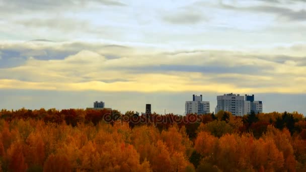 秋季时间的推移。秋天在城市 — 图库视频影像