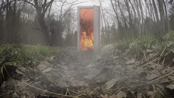 El fuego en el bosque. Bosque místico con puertas — Vídeo de stock