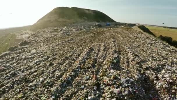 都市ダンプ家庭用廃棄物。埋め立て地以上のフライト。国内の廃棄物の埋葬. — ストック動画