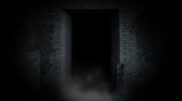 Eine geheimnisvolle Tür. Tür zum Unbekannten. — Stockvideo
