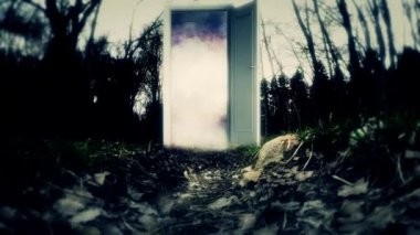 Bir kapı ile gizemli orman. Kapıya kadar boşluk 6