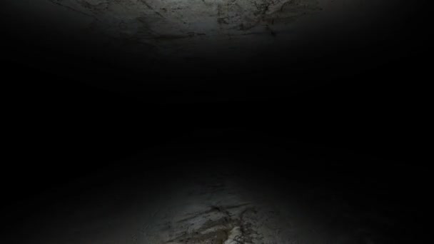 Run through the dark corridor. Its dark and scary. 42 — Stock Video