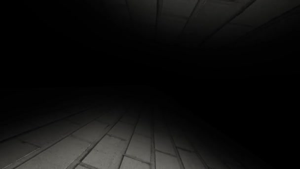 Неизвестный темный коридор. Летят во тьму. 53 . — стоковое видео