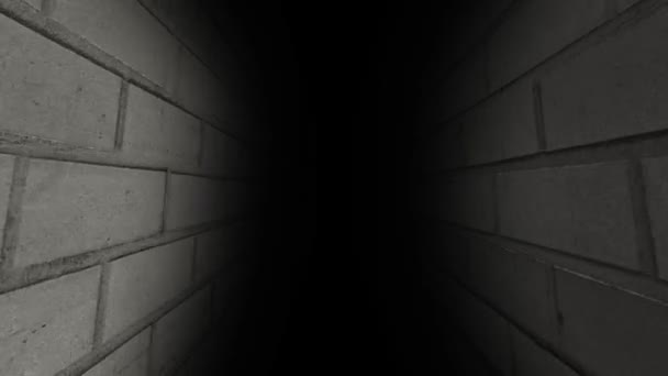 暗い廊下を実行します。その暗いと怖い。55 — ストック動画