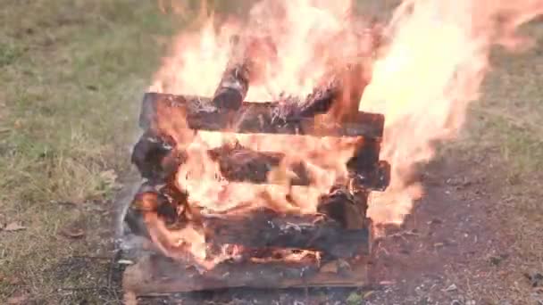Make a big bonfire in the meadow. Beautiful bonfire made of wooden logs. — Stock Video