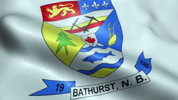 Κυματίζοντας Σημαία Της Πόλης Του Καναδά Bathurst Seamless Looping — Αρχείο Βίντεο
