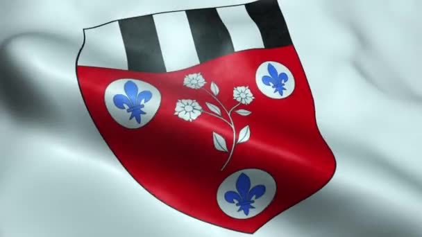 Ondulant Canada Ville Drapeau Beauceville Boucle Sans Couture — Video