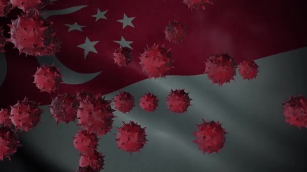 シンガポール国旗とコロナウイルスの発生 コロナウイルスの概念 — ストック動画
