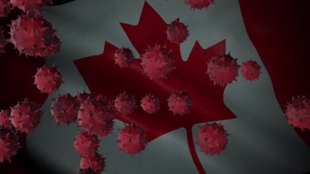 Corona Virus Uitbraak Met Canada Vlag Coronavirus Concept — Stockvideo