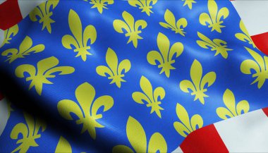 3d Dalgalanan Fransa Arma Bölümü Indre et Loire Kapanış Bayrağı Görünümü