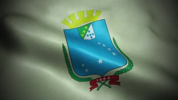 Brazílie Vlajka Město Sao Luis Bezešvé Smyčka Vlnění Animace — Stock video