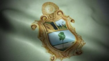 Brezilya Manaus Bayrak Şehri Kusursuz Dalgalanma Animasyonu