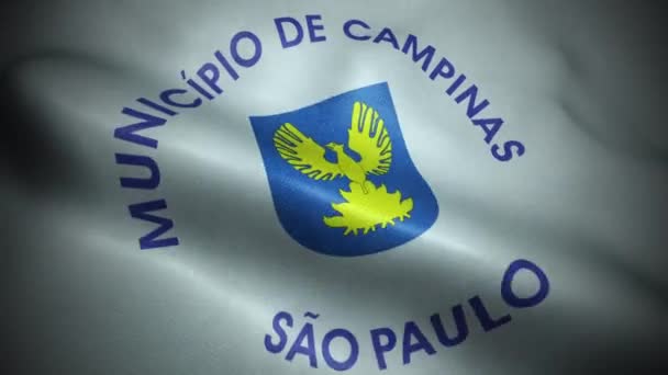 Бразильский Флаг Город Campinas Seamless Петли Анимации Размахивания — стоковое видео