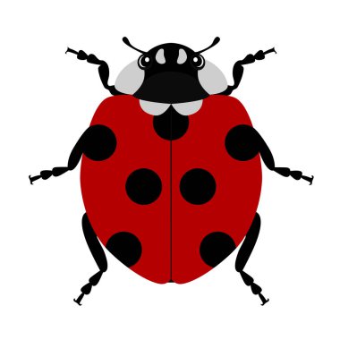 uğur böceği vektör beyaz arka plan üzerinde