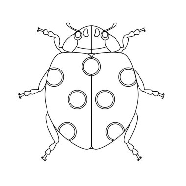 uğur böceği vektör beyaz arka plan üzerinde