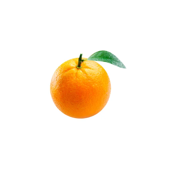 Naranja en vector sobre fondo blanco — Vector de stock