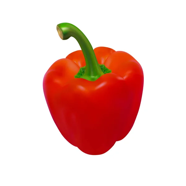 Paprika im Vektor auf weißem Hintergrund — Stockvektor