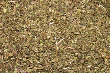 Doku kuru nane. Bira için nane.