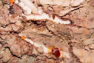 Karaciğerden yuvarlan. Mevsimlerle ciğer yuvarlanır. Baharatlarla karaciğer..