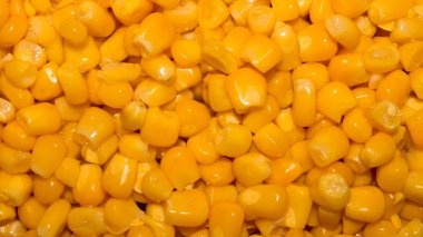 Tatlı sulu mısır. Mısır gevreği ve konserve mısır..