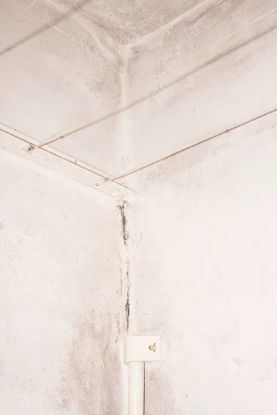 更新改造浴室 为绘画准备墙壁 — 图库照片