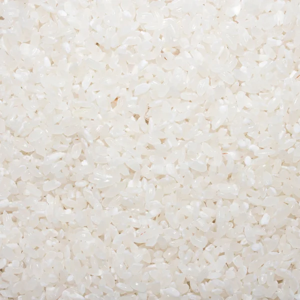 Arroz Desmenuzado Grano Redondo Arroces Gruesos Fondo Granos Arroz Textura — Foto de Stock