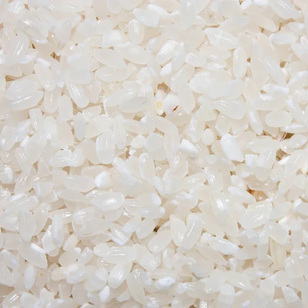 Grãos Redondos Rumbly Rice Rice Groats Background Grãos Arroz — Fotografia de Stock