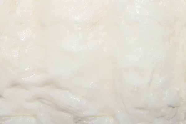 Formaggio Fatto Casa Base Kefir — Foto Stock