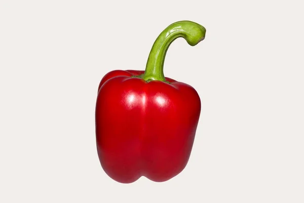 Bulgarian Red Pepper White Background — Stock Photo, Image