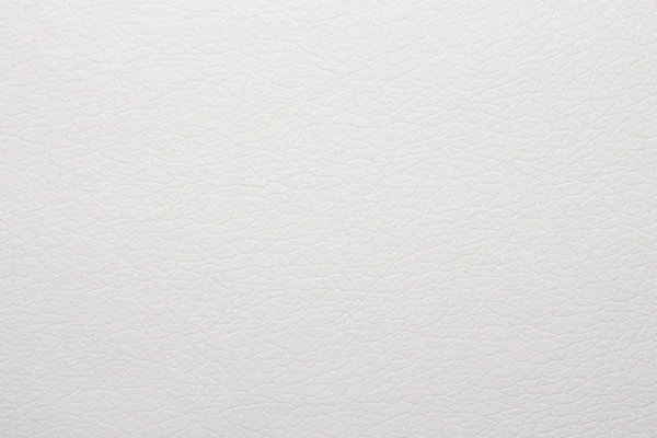 Substituto Couro Branco Couro Texturizado Branco Textura Couro Branco Alta — Fotografia de Stock