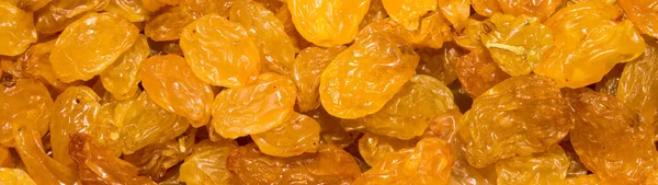 Sultana.Dried grapes.Seedless raisins from light grapes.Background of raisins.