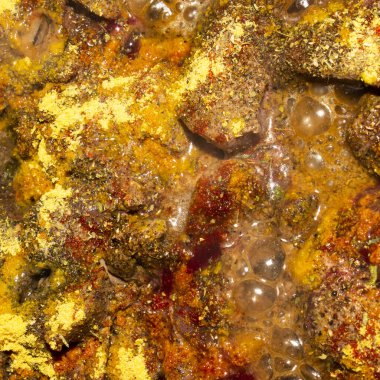 Et baharatlarla serpilmiş. Farklı baharatların arkaplanı..