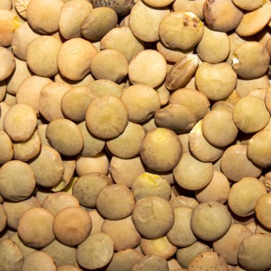 Kahverengi mercimek. Kahverengi mercimek arkaplanı. Mercimek dokusu..