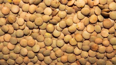 Kahverengi mercimek. Kahverengi mercimek arkaplanı. Mercimek dokusu..